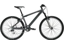 Trek Bruiser 1