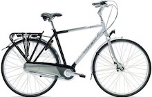 Trek L100