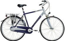 Trek L300