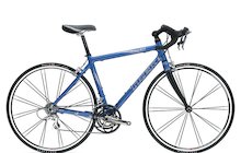Trek Pilot 5.0 WSD