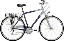 Trek T300