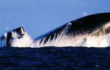 USS Buffalo
