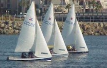 Vanguard 15