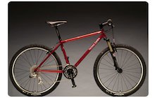 Vicious Cycles Jewel