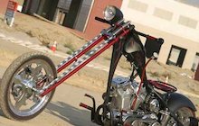 Von Dutch Stray
