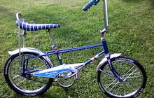 Western Flyer Buzz Bike Eliminator