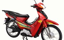 Yangtze YZ1000DT