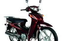 Znen ZN 100