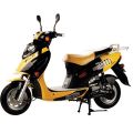 Znen ZN0008