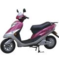 Znen ZN0011