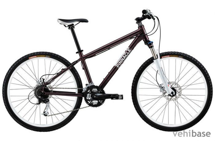 Pinnacle Willow 2