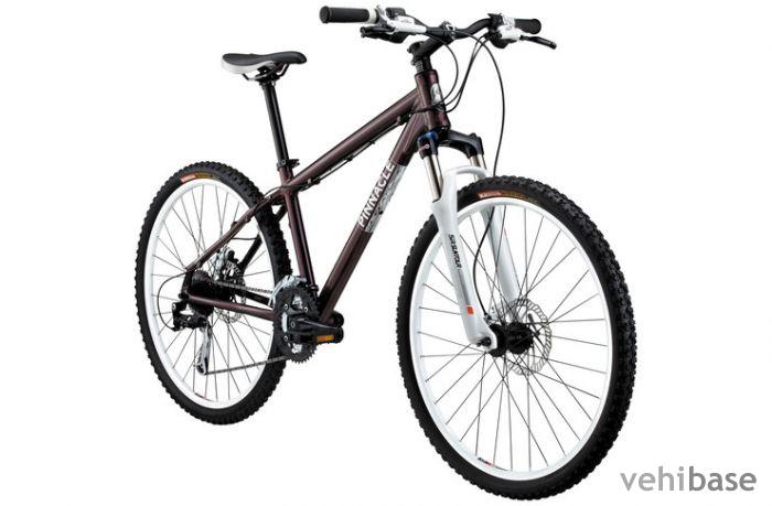Pinnacle Willow 2