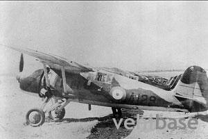 PZL P.24