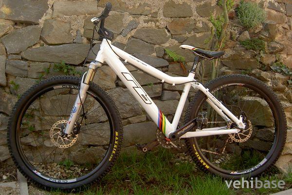 Racebike Monster HT