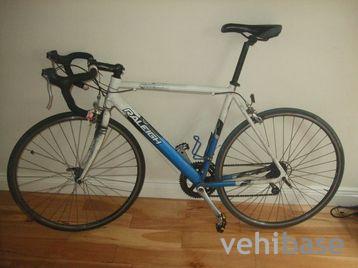 Raleigh Absolute
