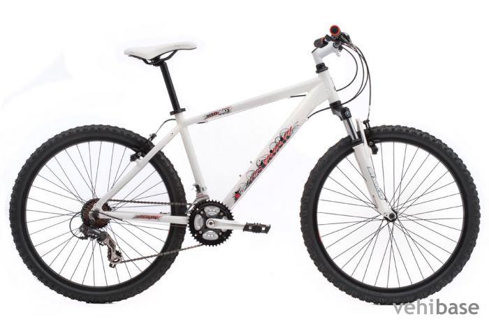 Raleigh All Terrain 10 Max