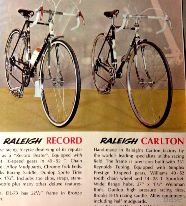 Raleigh Carlton