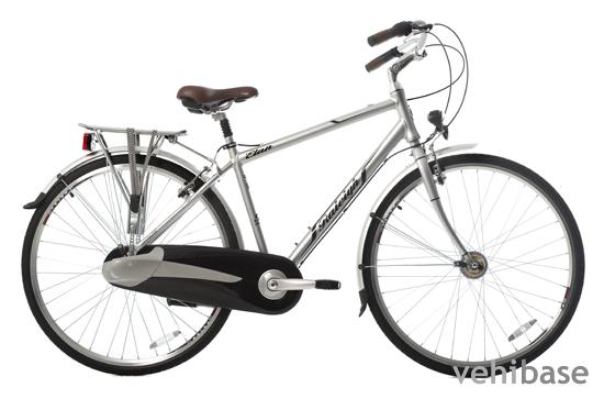 Raleigh Elan