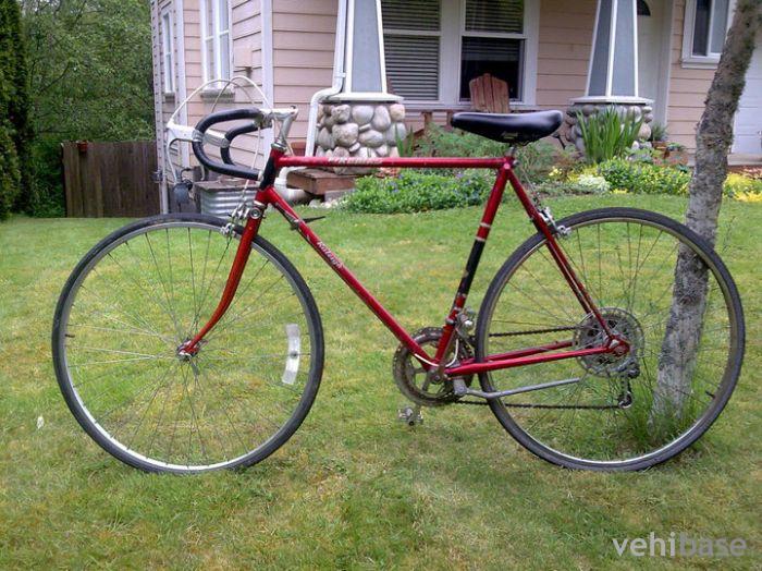 Raleigh Firebird