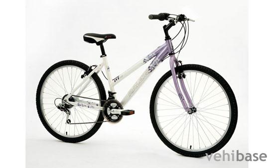Raleigh Freeride AT05 W