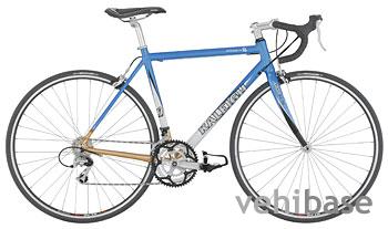 Raleigh Intrigue 1.0
