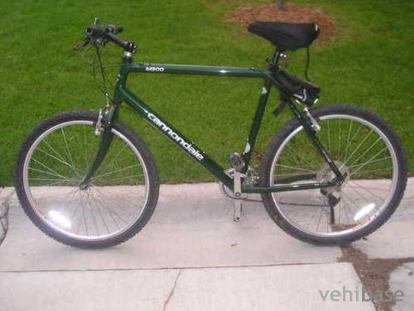 Raleigh M300