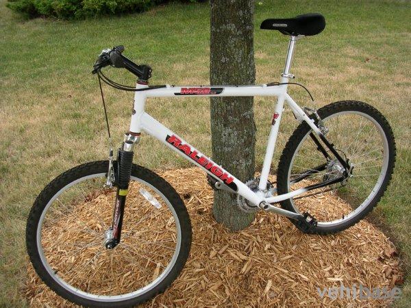 Raleigh M50
