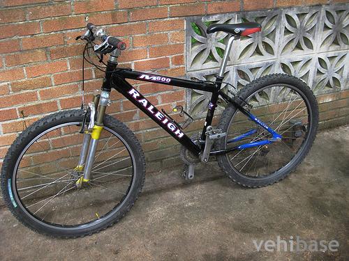 Raleigh M600