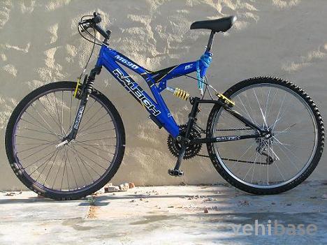 Raleigh M690