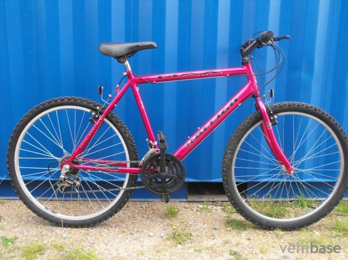 Raleigh Max Ogre