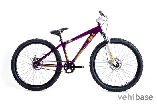Raleigh Max