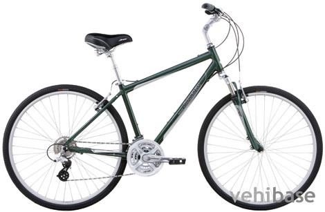 Raleigh Passage 4.0