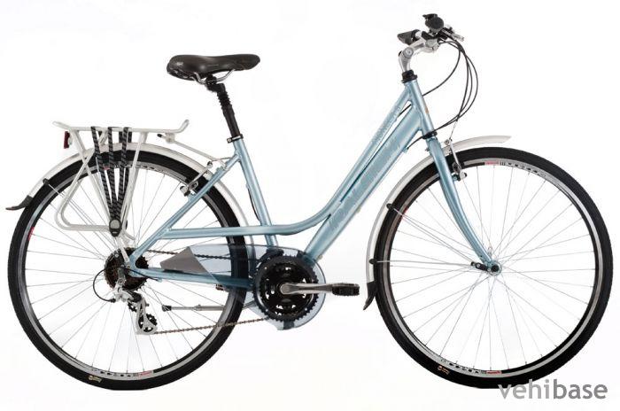 Raleigh Pioneer 3 W