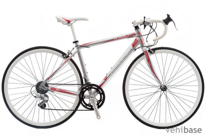 Raleigh Pursuit
