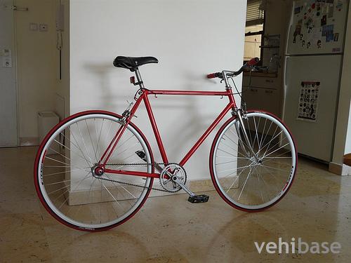 Raleigh R50