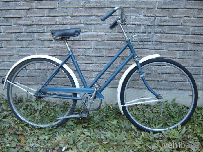 Raleigh Robin Hood