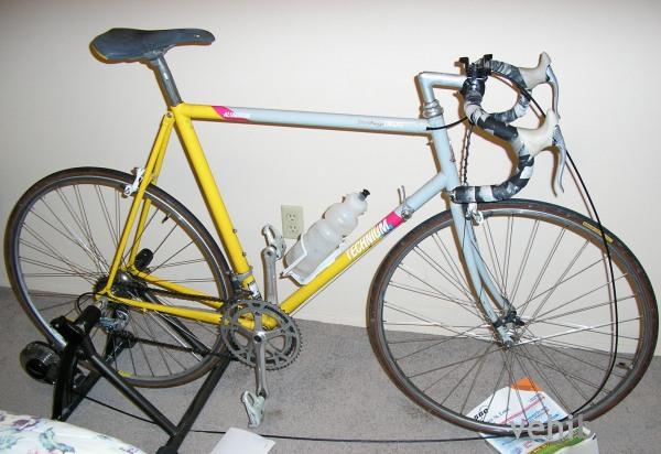 Raleigh Scott Tinley Tri-Lite