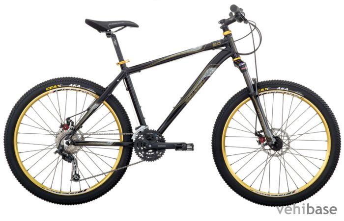 Raleigh Talus 8.0