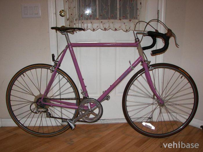 Raleigh Technium 480