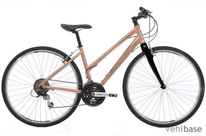 Raleigh Urban 5 W