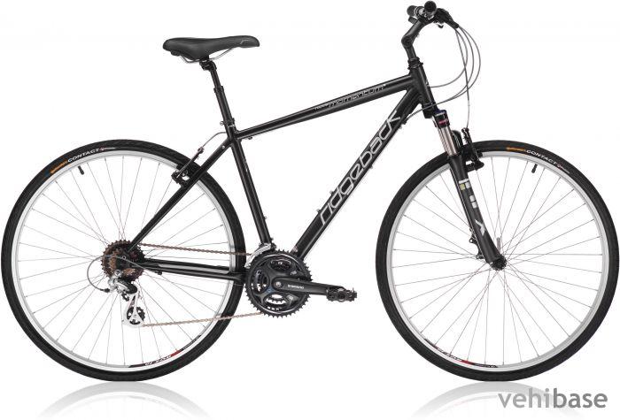 Ridgeback Momentum