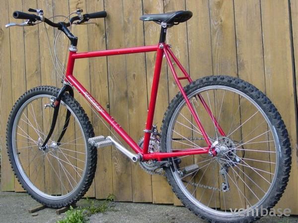 Ritchey Ascent