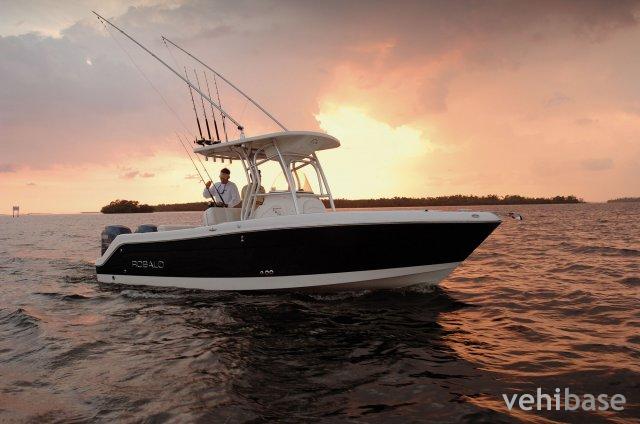 Robalo R240