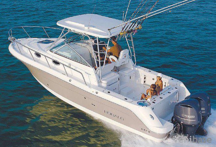 Robalo R305