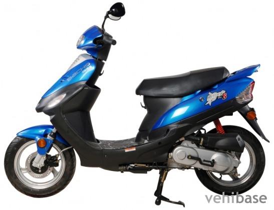 Sachs 49er