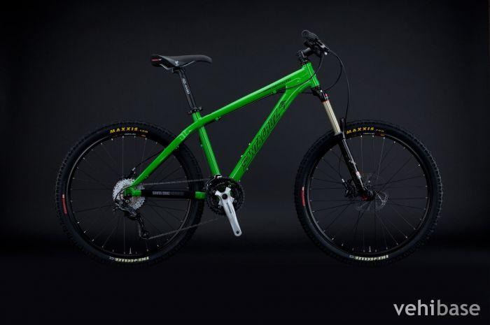 Santa Cruz Chameleon