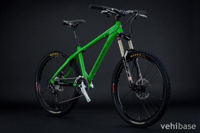 Santa Cruz Chameleon