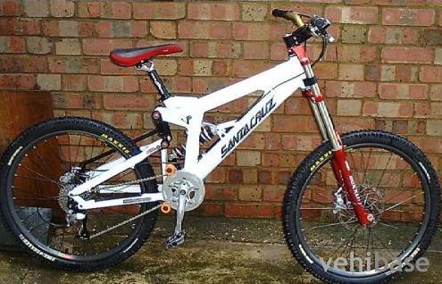 Santa Cruz V-10
