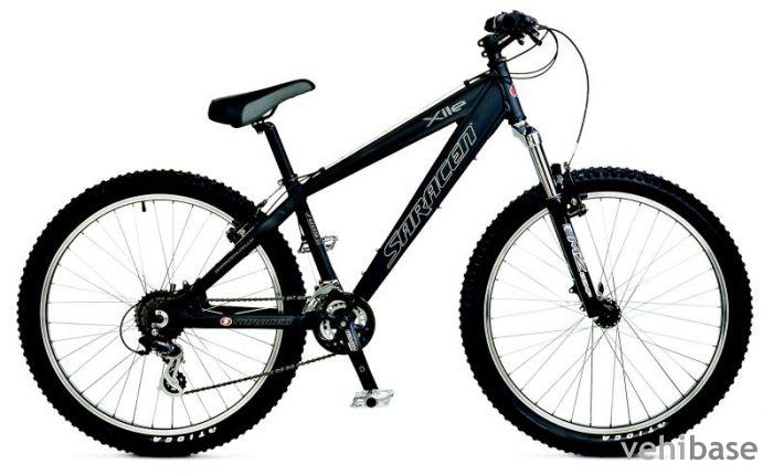 Saracen Xile