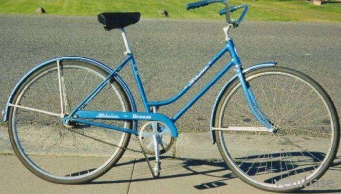 Schwinn Breeze
